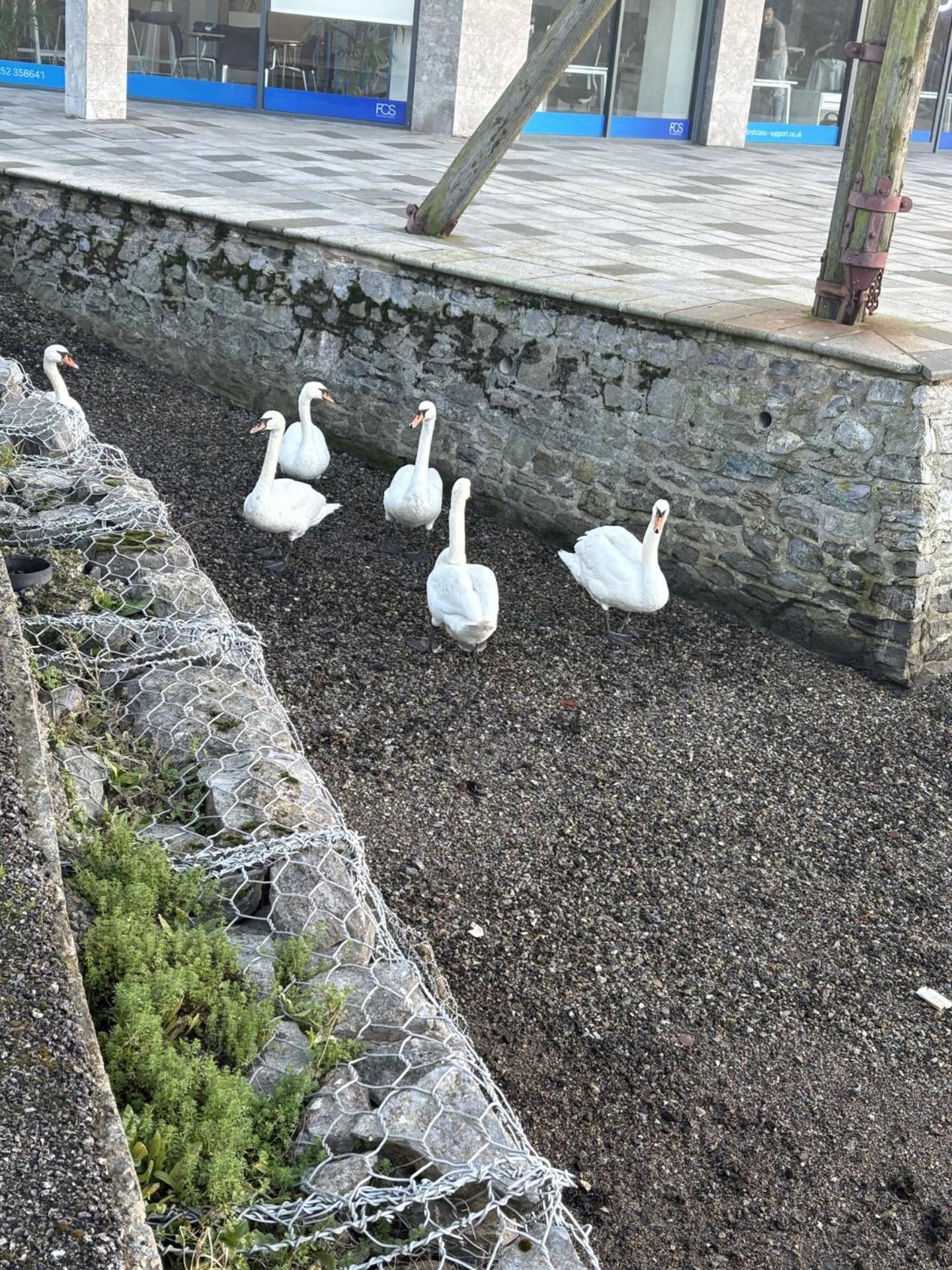 2 Bedroom Dreamy In Plymouth! * Plymouth